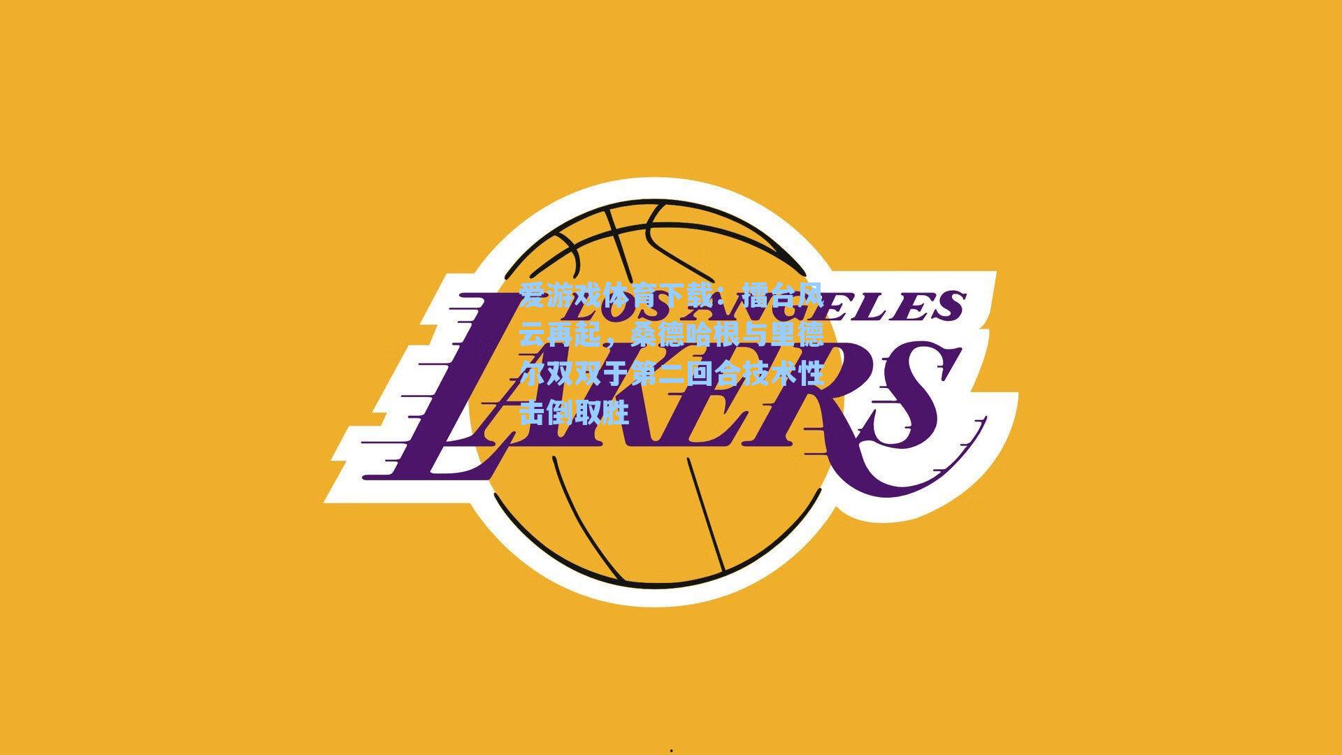 爱游戏体育下载：擂台风云再起，桑德哈根与里德尔双双于第二回合技术性击倒取胜