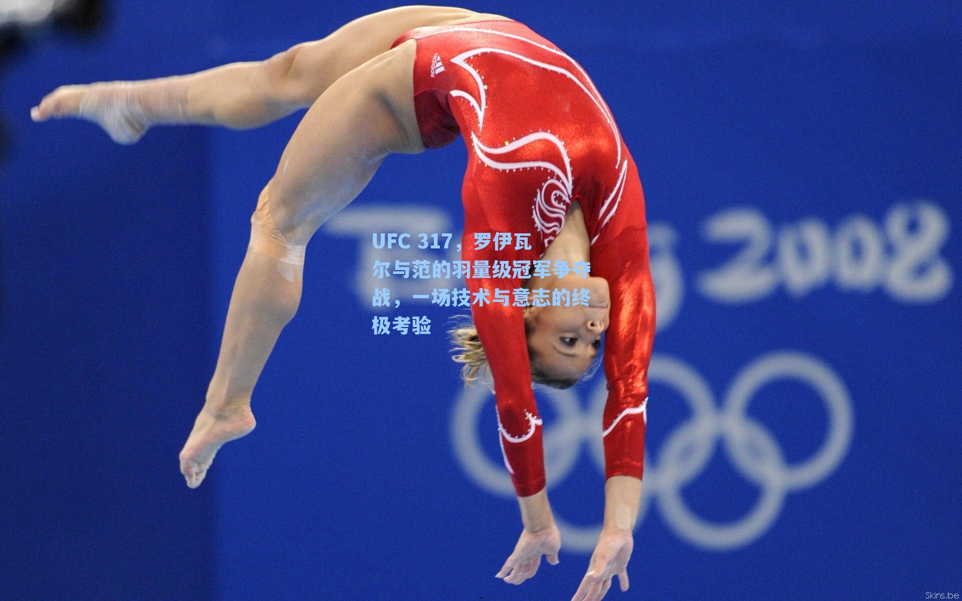 UFC 317，罗伊瓦尔与范的羽量级冠军争夺战，一场技术与意志的终极考验