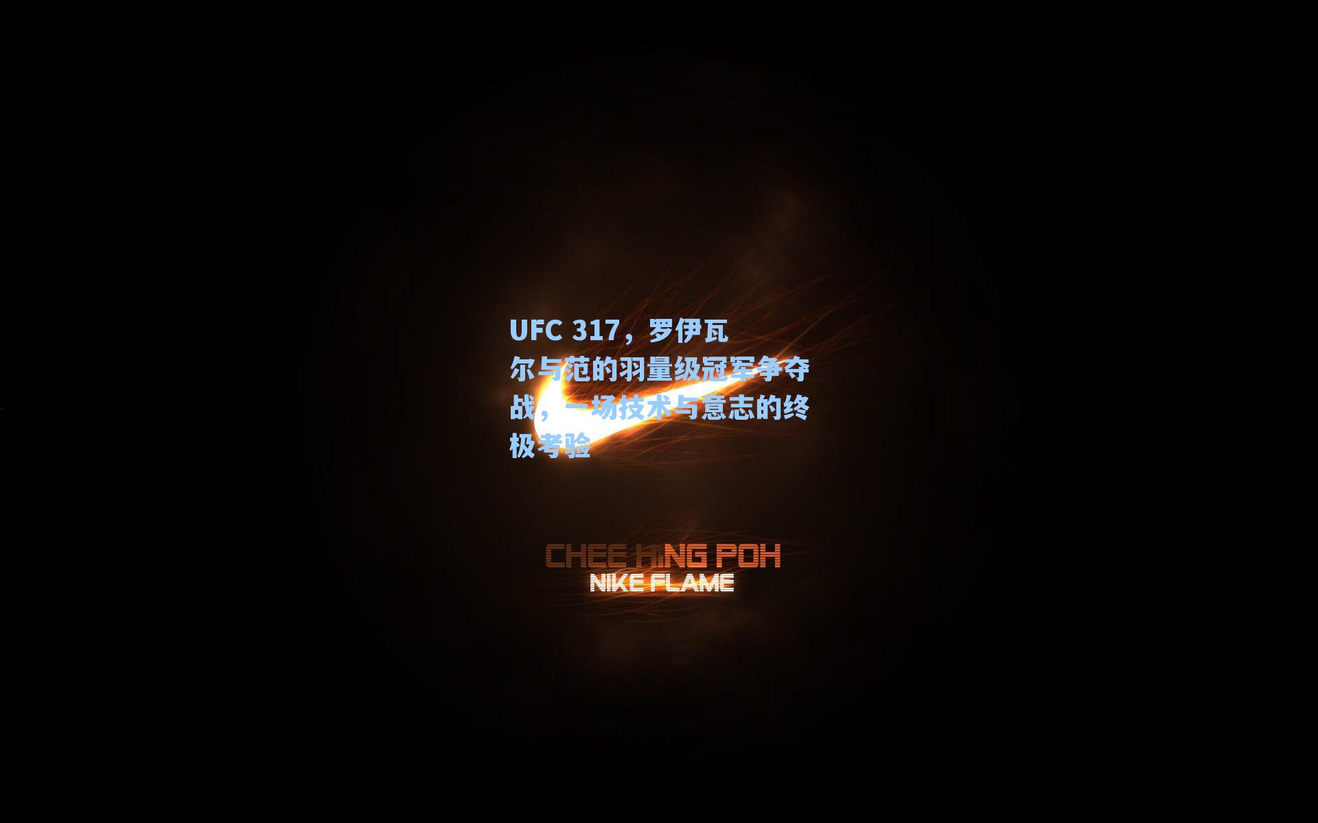 UFC 317，罗伊瓦尔与范的羽量级冠军争夺战，一场技术与意志的终极考验