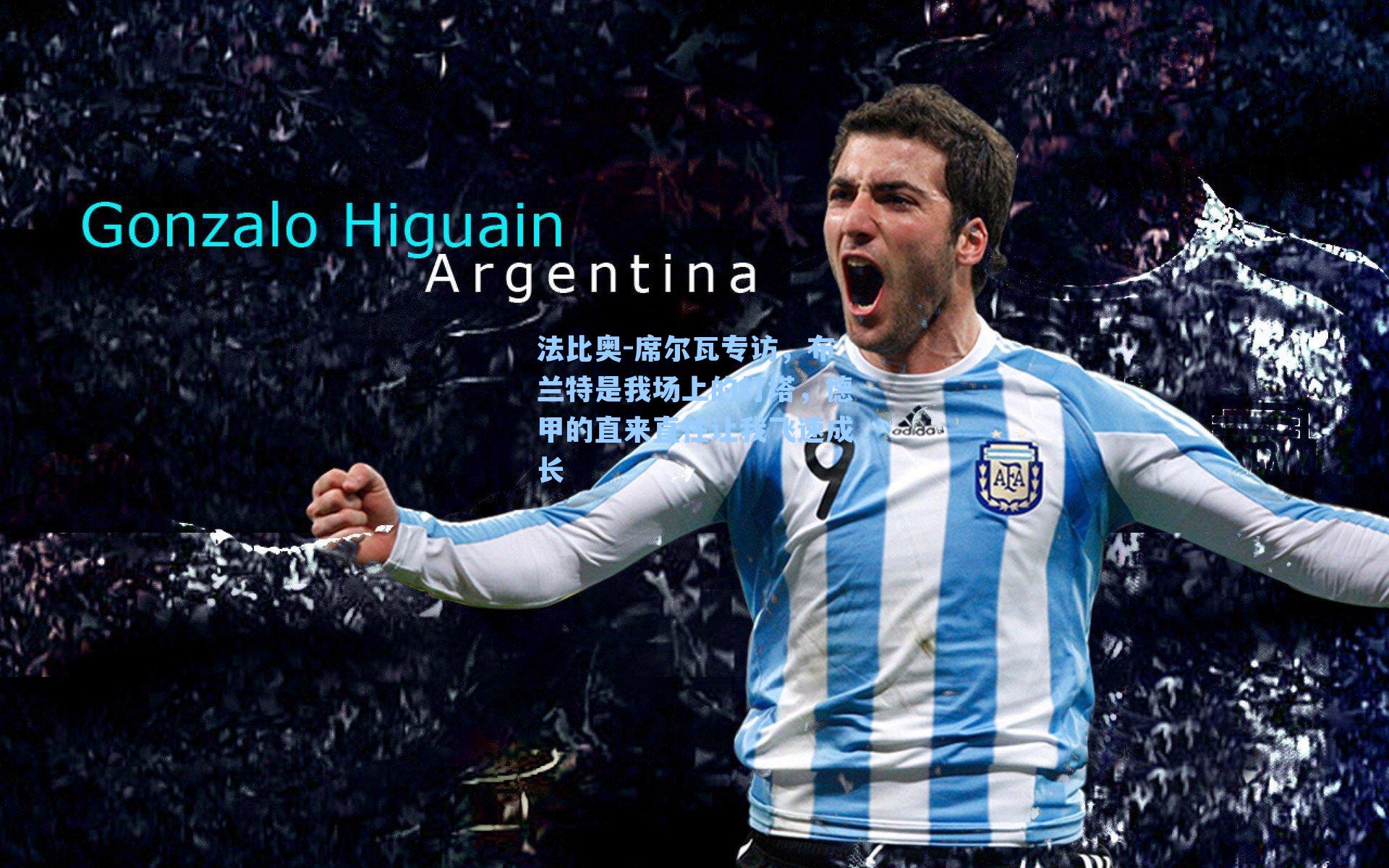 法比奥-席尔瓦专访，布兰特是我场上的灯塔，德甲的直来直往让我飞速成长